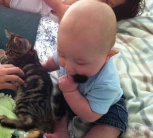 Jack and kitten